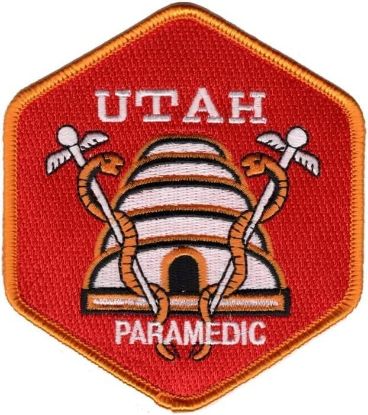 Picture of Training Officer Consultation Fee Paramedic