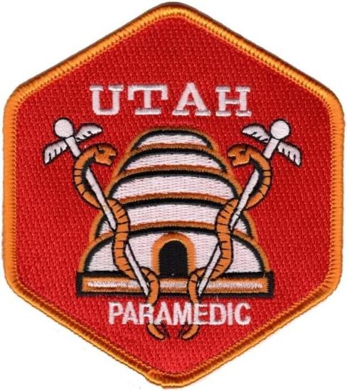 Picture of Training Officer Consultation Fee Paramedic